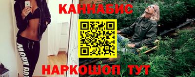 шишки Кингисепп