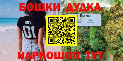 индика Кинель