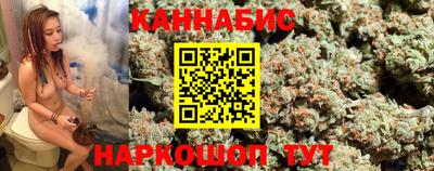 шишки Кингисепп