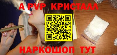 шишки Кингисепп